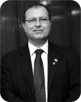 Wilson Safatle Faiad